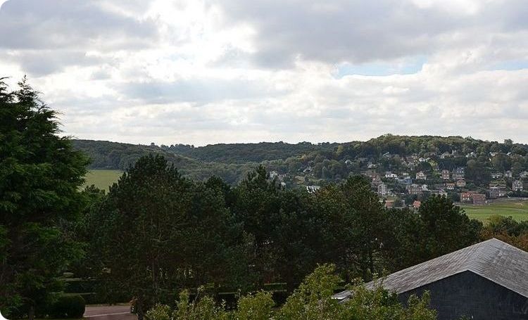 Bois de Bernouville