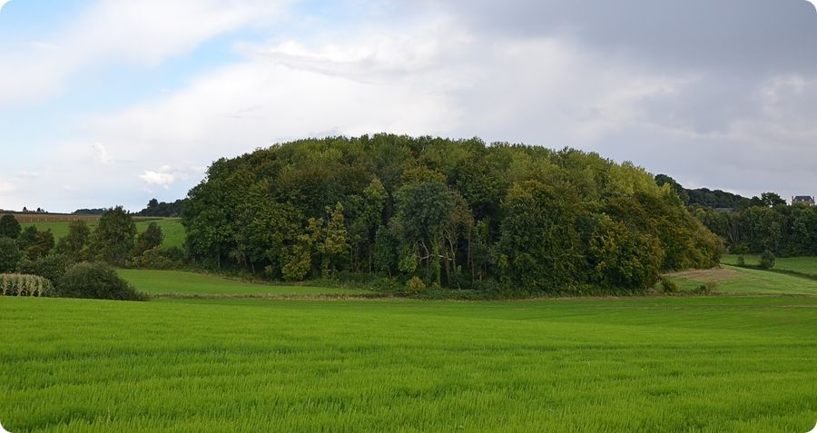 Les Besles � Estouteville-�calles