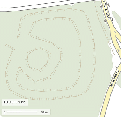 Le bois des Mottes � �toutteville