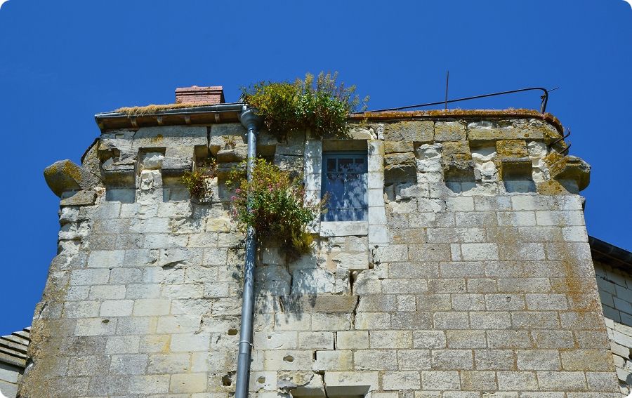 Château médiéval de Sainte-Maure