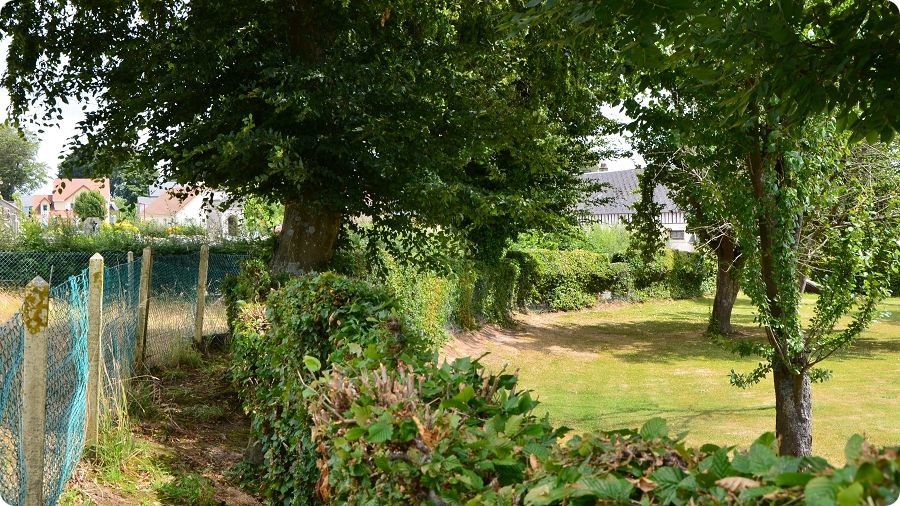 Tracé de la motte castrale disparue de Fauville-en-Caux