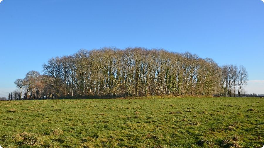 Site castral médiéval de Rames à Gommerville