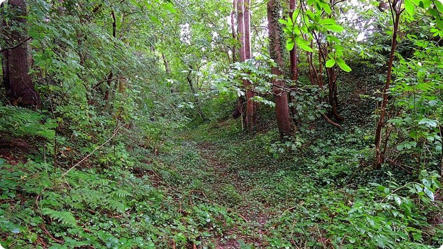Site castral médiéval de Rames à Gommerville