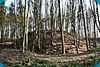 Le bois des Mottes � �toutteville