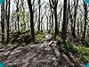 Motte castrale de Rocquefort
