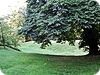 Site castral m�di�val de Buttercrambe