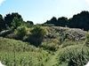 Site castral m�di�val de Kinnard's Ferry