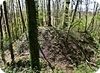 Vestiges du ch�teau m�di�val de Bec-de-Mortagne