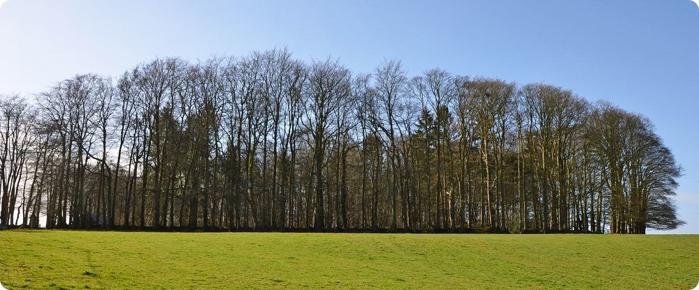 Site castral médiéval de Cleuville