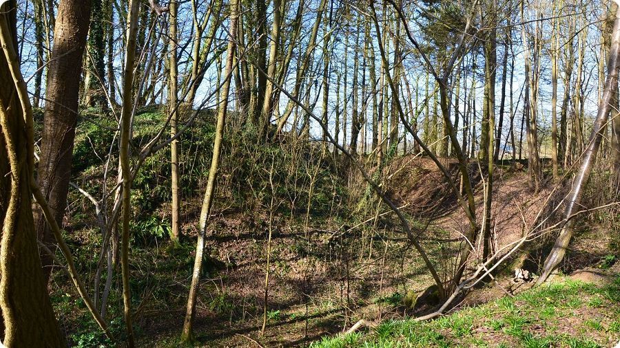 Site castral médiéval de Cleuville