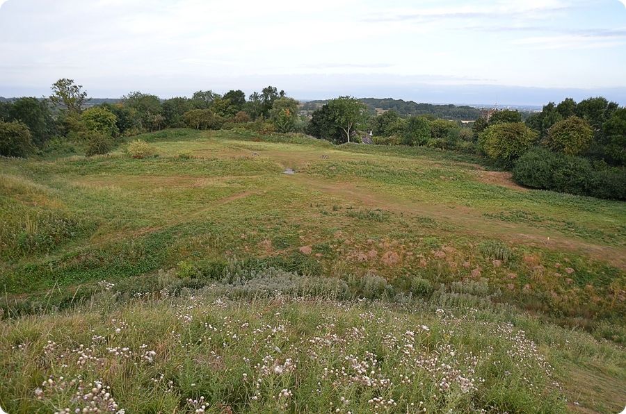 Site castral médiéval de Brinklow