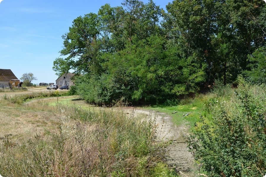 Site castral m�di�val du Bouchet-Touteville