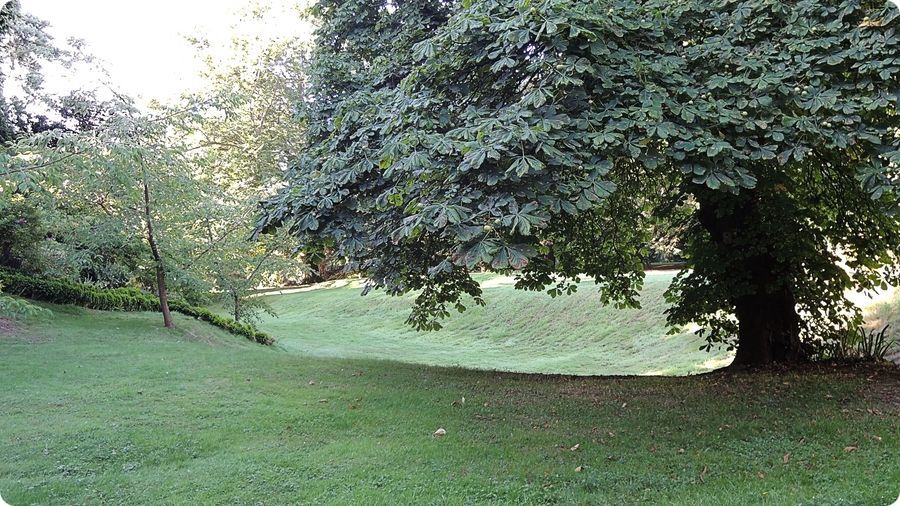 Site castral m�di�val de Buttercrambe