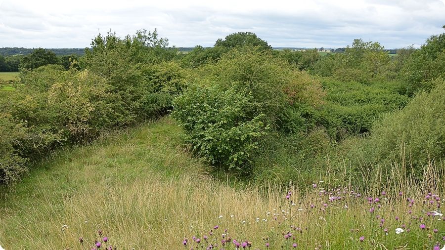 Site castral médiéval de Liddel-Strength