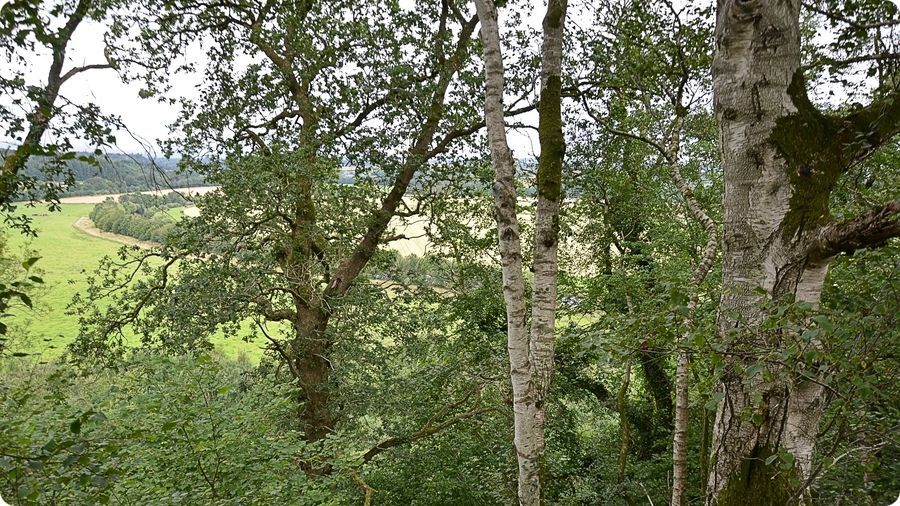 Site castral médiéval de Liddel-Strength