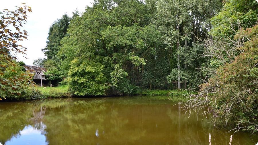 Site castral médiéval de Moyon