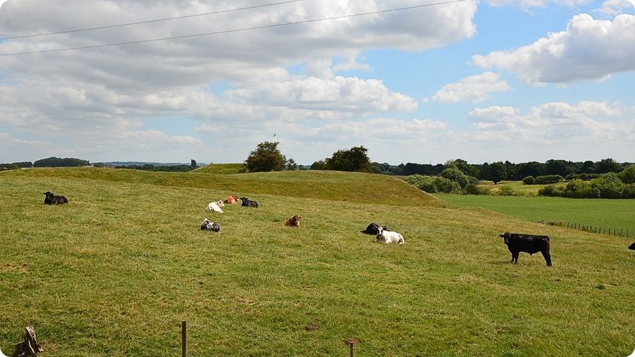 Site castral médiéval de Topcliffe