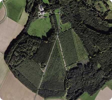 Trace du parc � bestiaux de Nicolas d'Estouteville