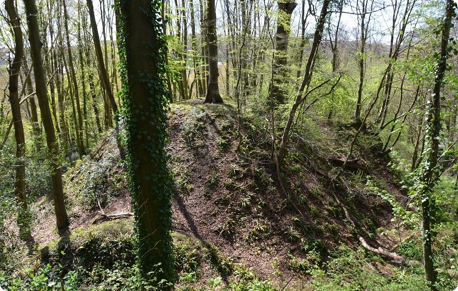 Vestiges du ch�teau m�di�val de Bec-de-Mortagne