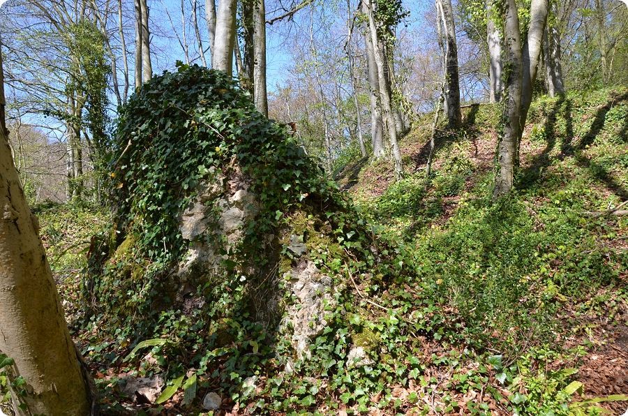 Vestiges du ch�teau m�di�val de Bec-de-Mortagne