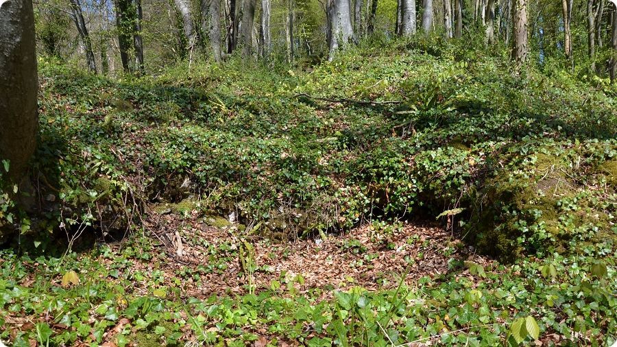Vestiges du ch�teau m�di�val de Bec-de-Mortagne