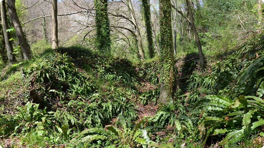 Vestiges du ch�teau m�di�val de Bec-de-Mortagne