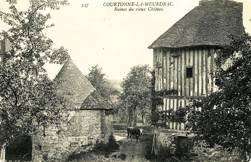Vestiges du château de Courtonne-la-Meurdrac