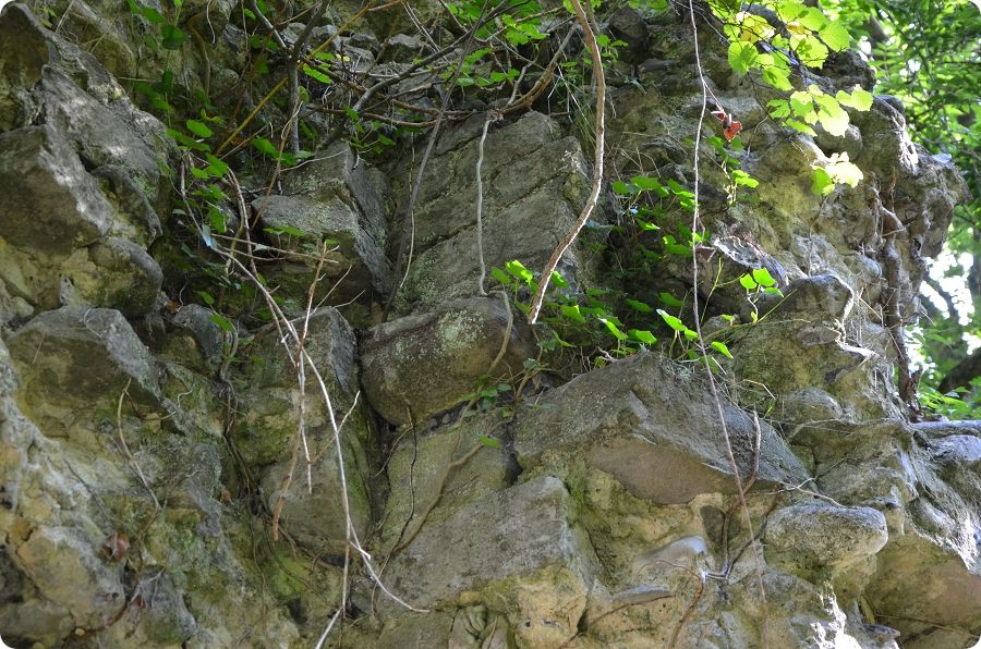 Vestiges du château médiéval d'Hautot-sur-Mer