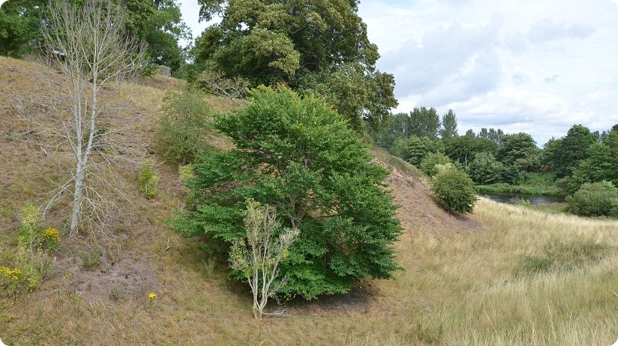 Vestiges du château de Roxburgh en Écosse