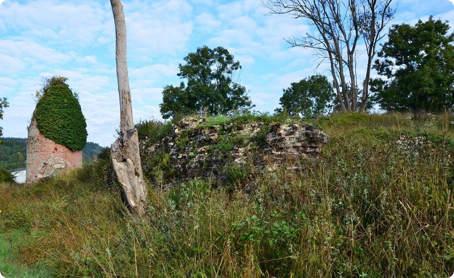 Vestiges du ch�teau m�di�val de Torcy-le-Grand