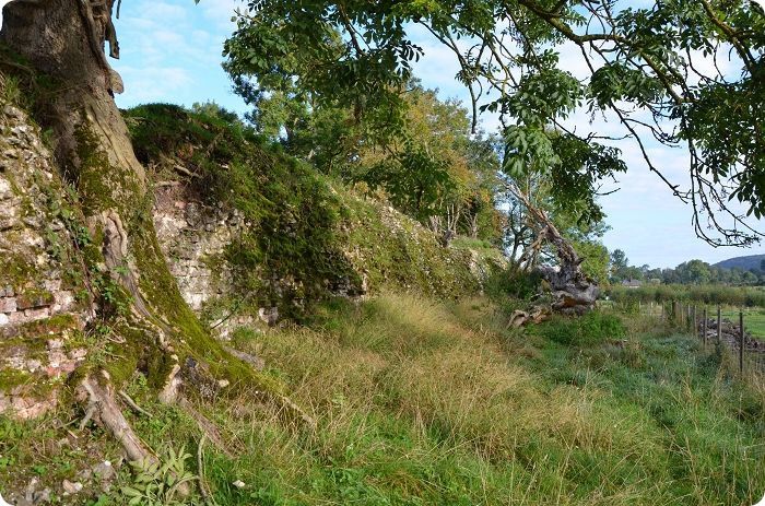 Vestiges du ch�teau m�di�val de Torcy-le-Grand